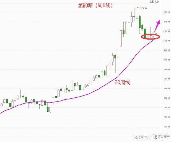 天博tb机构抢筹氢能源低位龙头(图1)